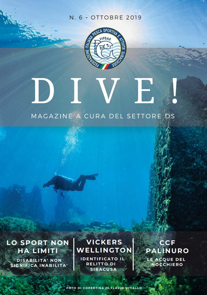 DIVE!