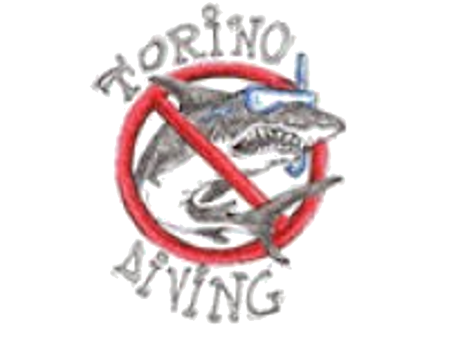 torino diving